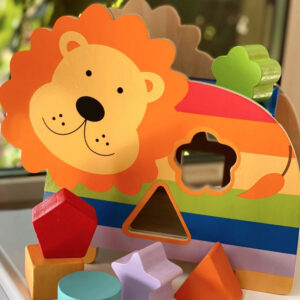 Wooden Lion Shape Sorter
