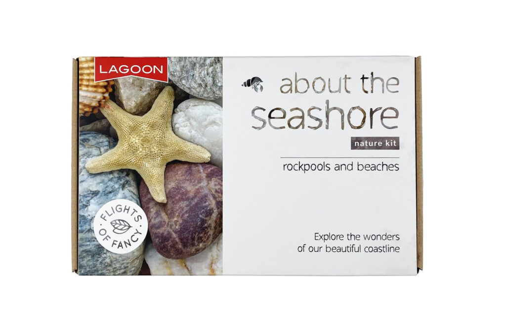 About the seashore exploration kit for the beach