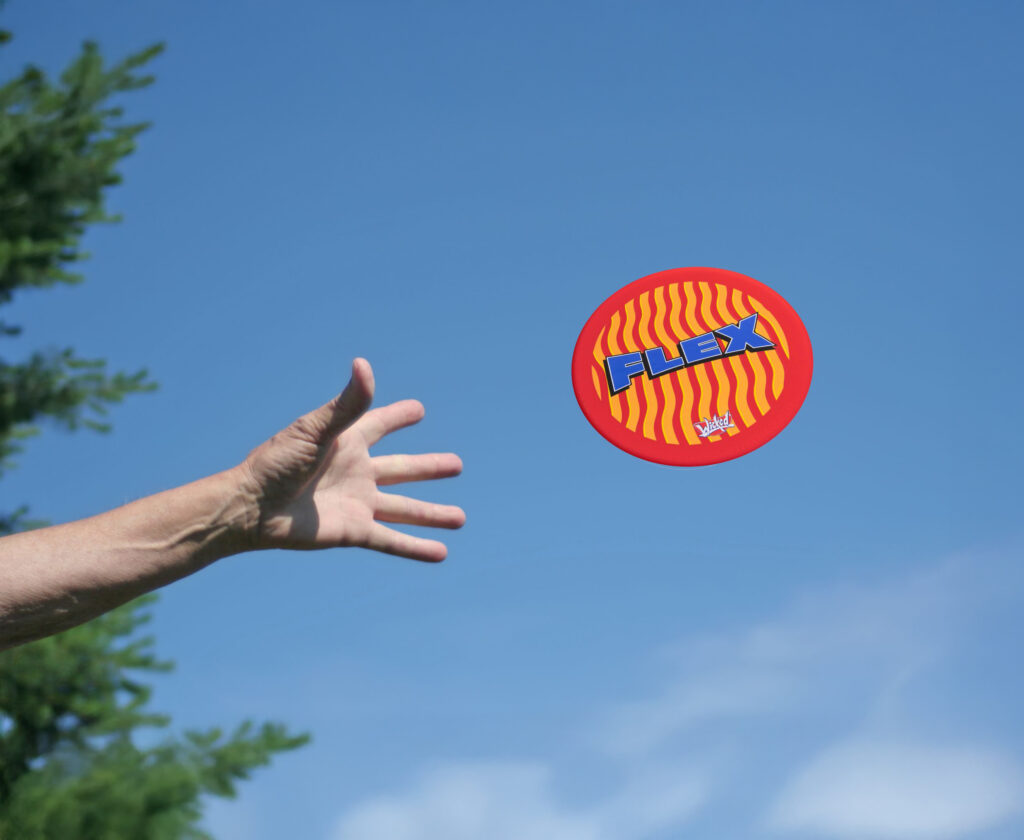 Outdoor flying disc