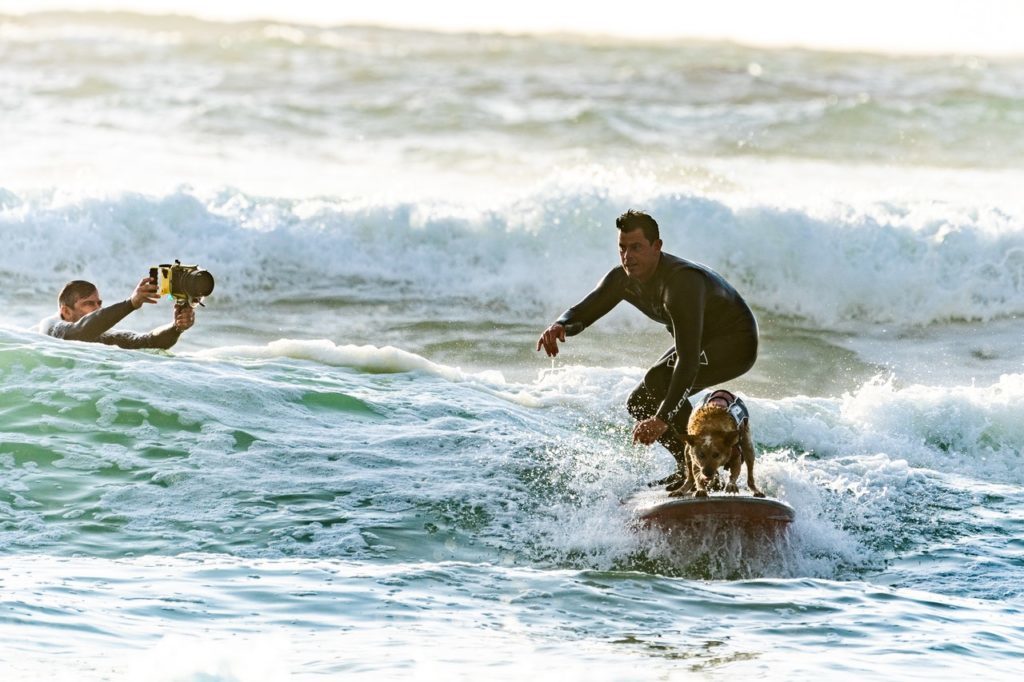surfer with a dog on his board