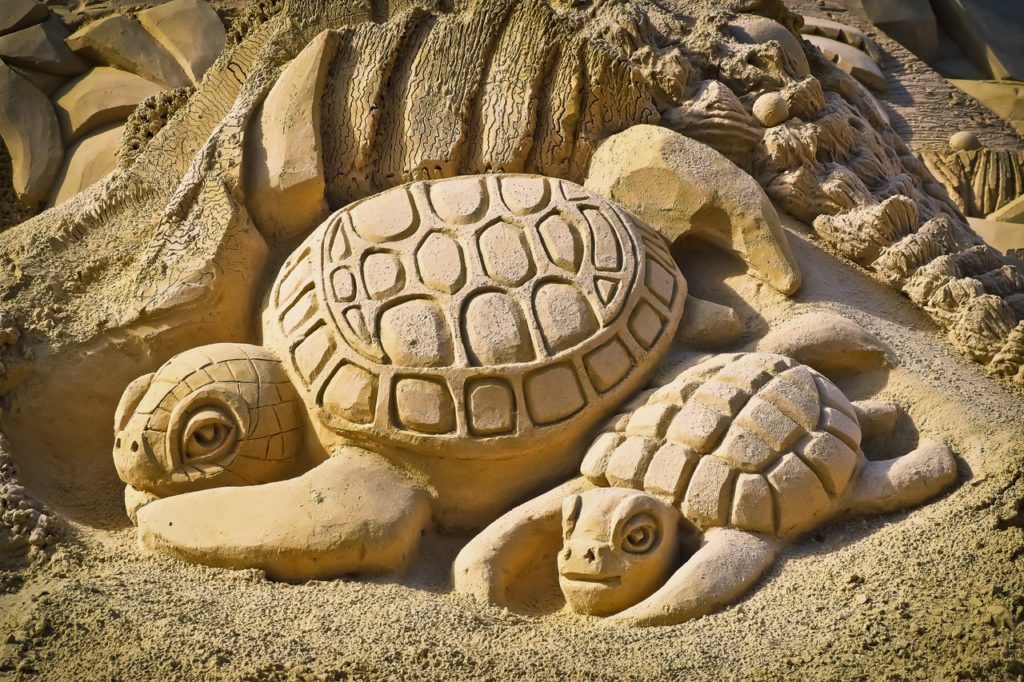 turtle sand art