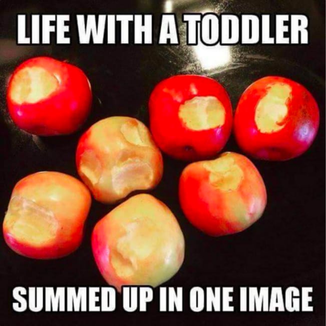 meme about toddlers not finishing their fruit