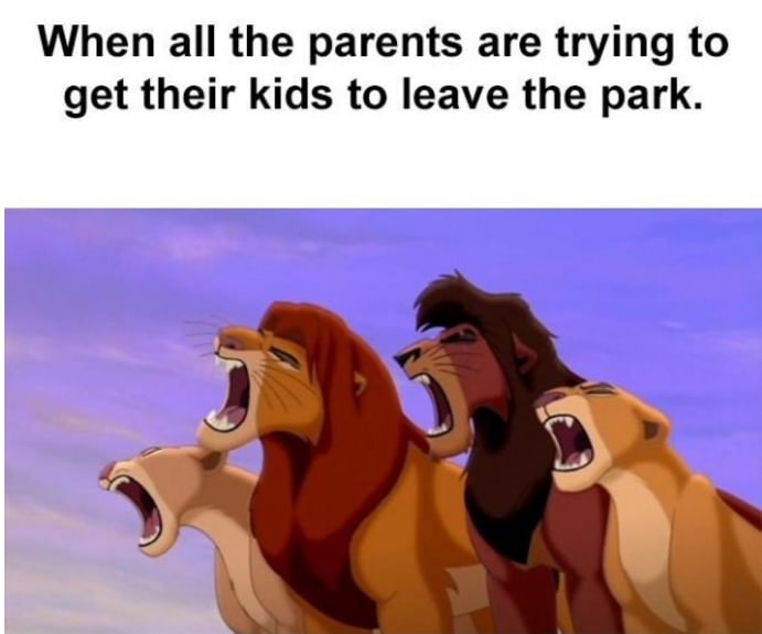 meme about leaving a play park