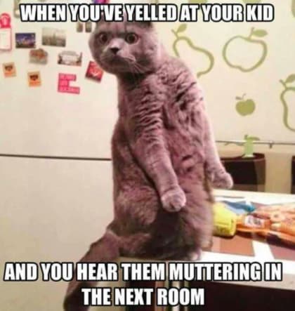 meme about shouting at your child