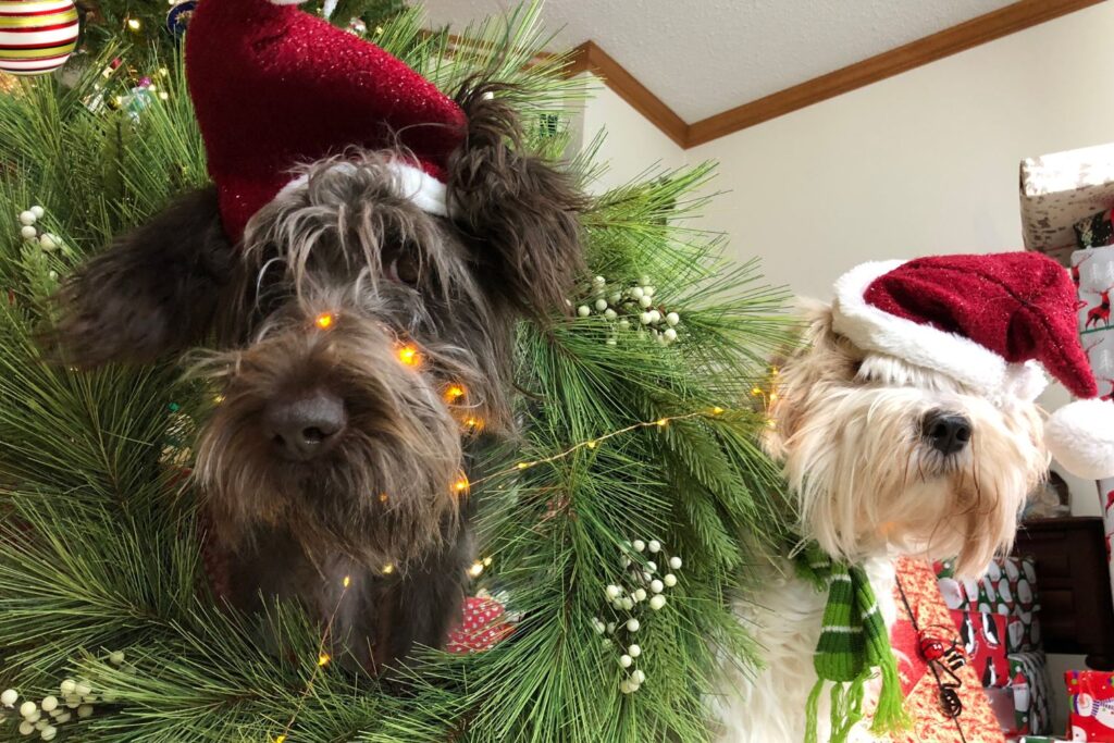 Dogs in a Christmas tree
