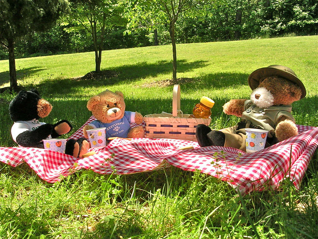Plan the Perfect Teddy Bear's Picnic Birthday Party - Wicked Uncle Blog