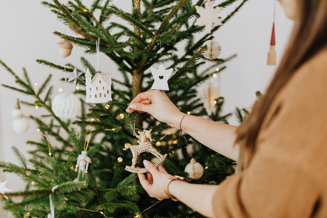 How Long Do Christmas Trees Last?