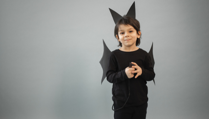 Bat Halloween Costume