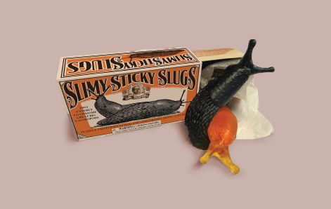 Slimy Sticky Slugs - Sticky, Icky Pair!